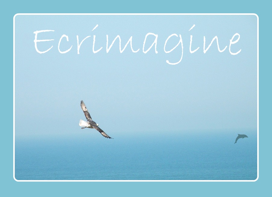 Le dernier des&nbsp;pétrels