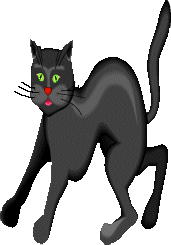chat noir