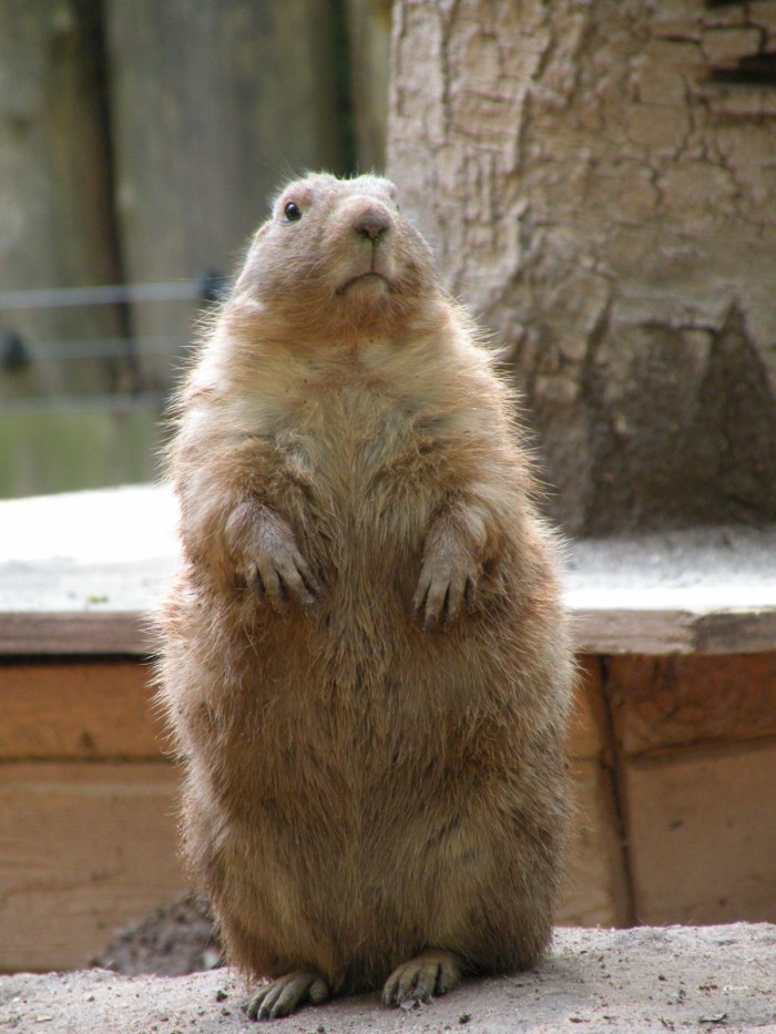 DSCN9880 [1600x1200]