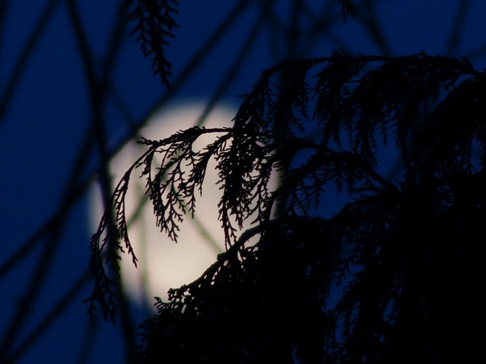 fevrier2016 embourg (4)