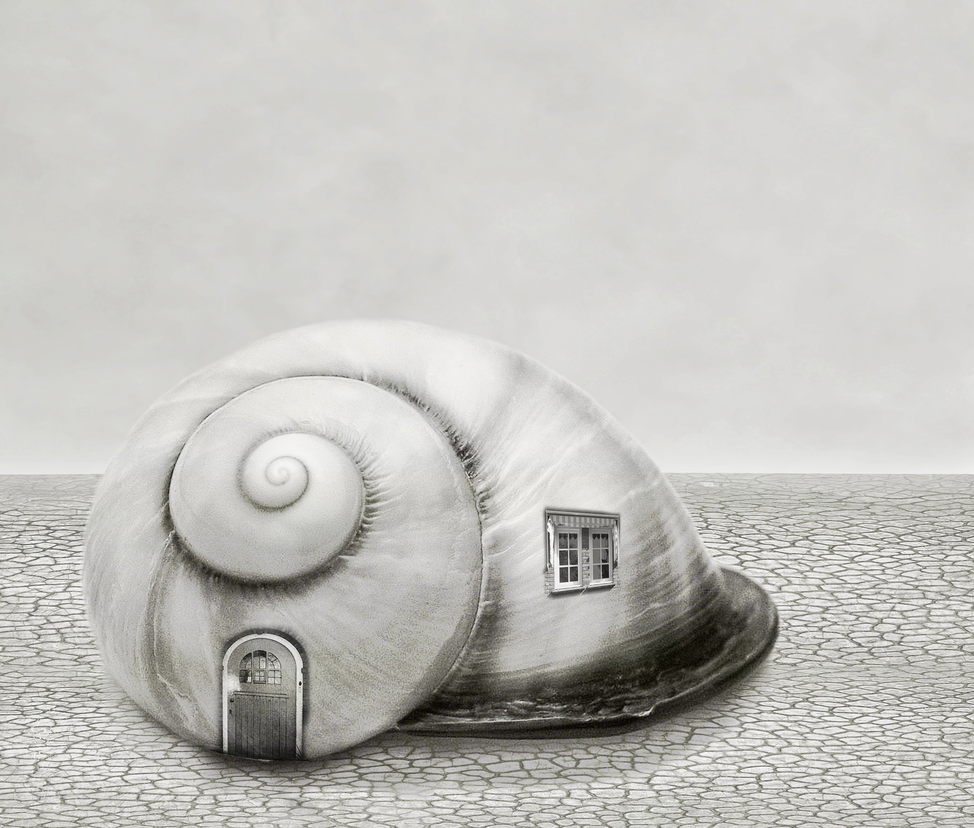 background-658758_1920