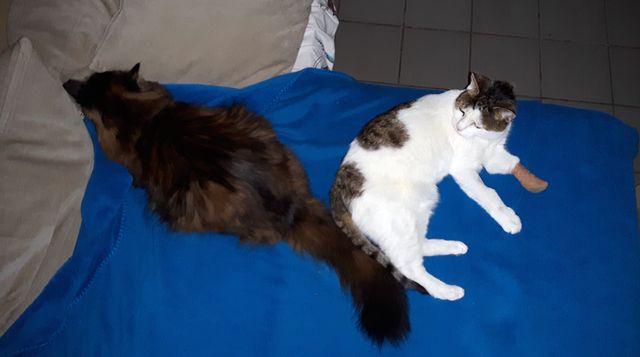 vicky et chouna