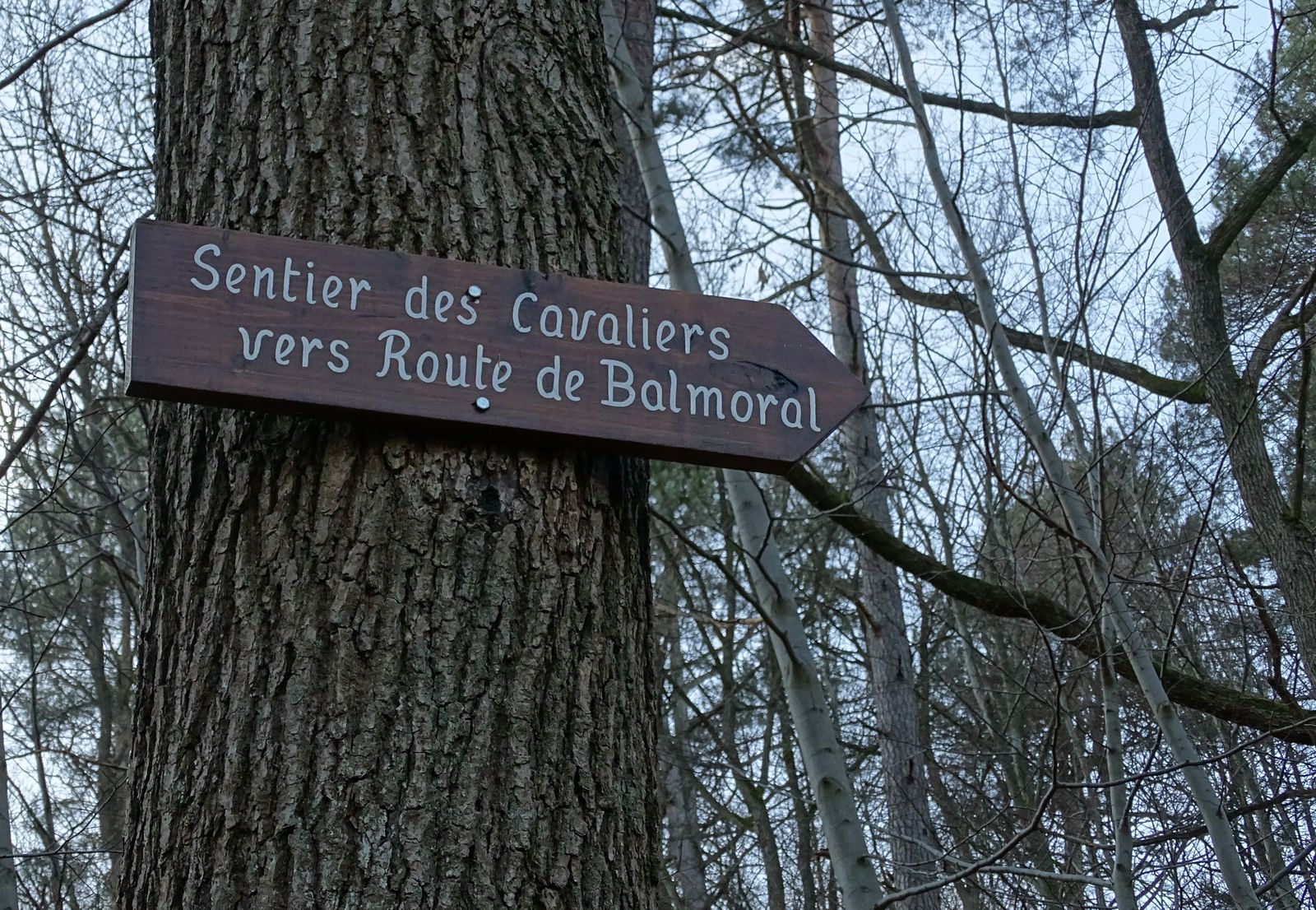 pancarte forêt