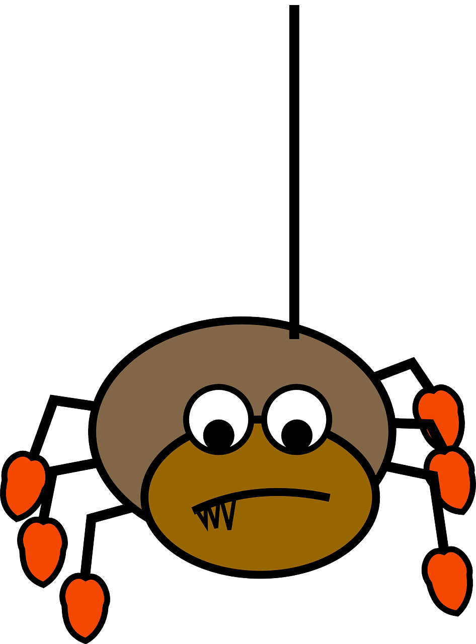 L&rsquo;araignée toute mouillée