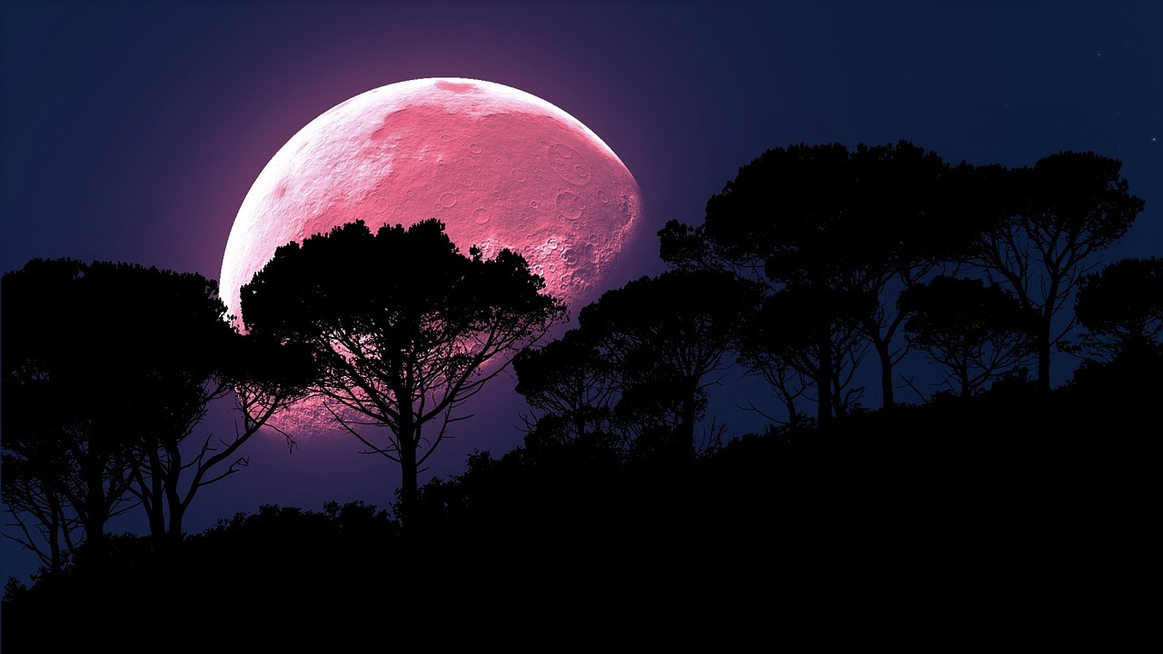 lune rose