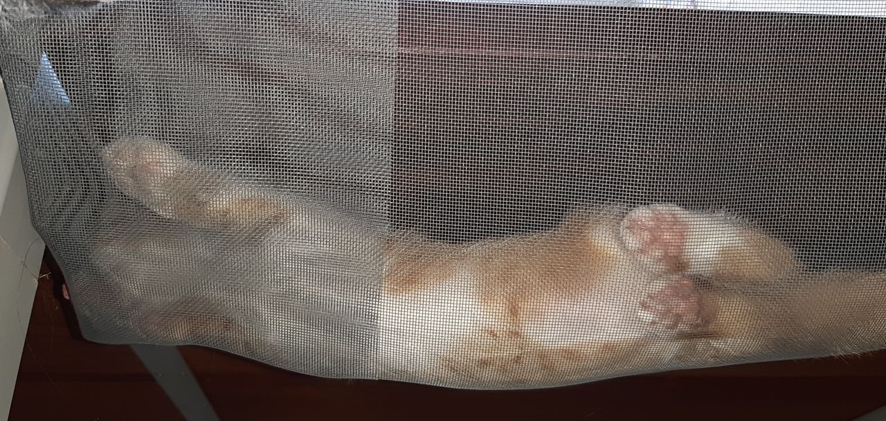 20190630_121542