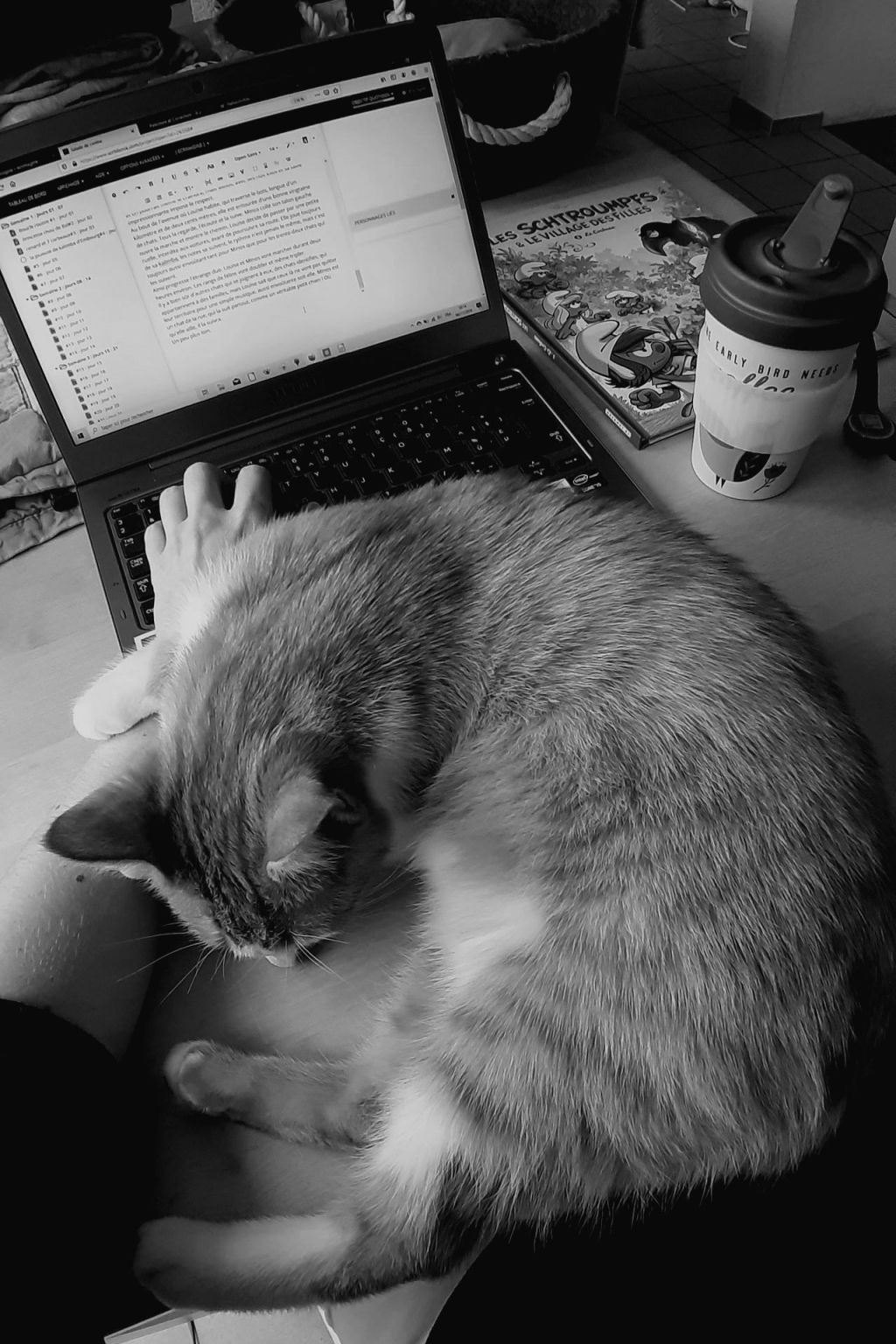 Un animal de compagnie, que du positif&nbsp;!
