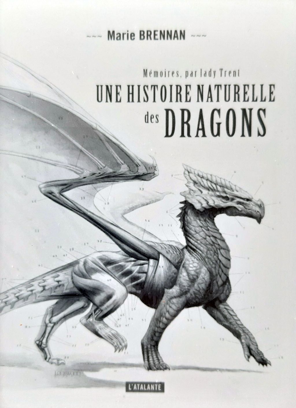 Une histoire naturelle des dragons, Marie&nbsp;Brennan