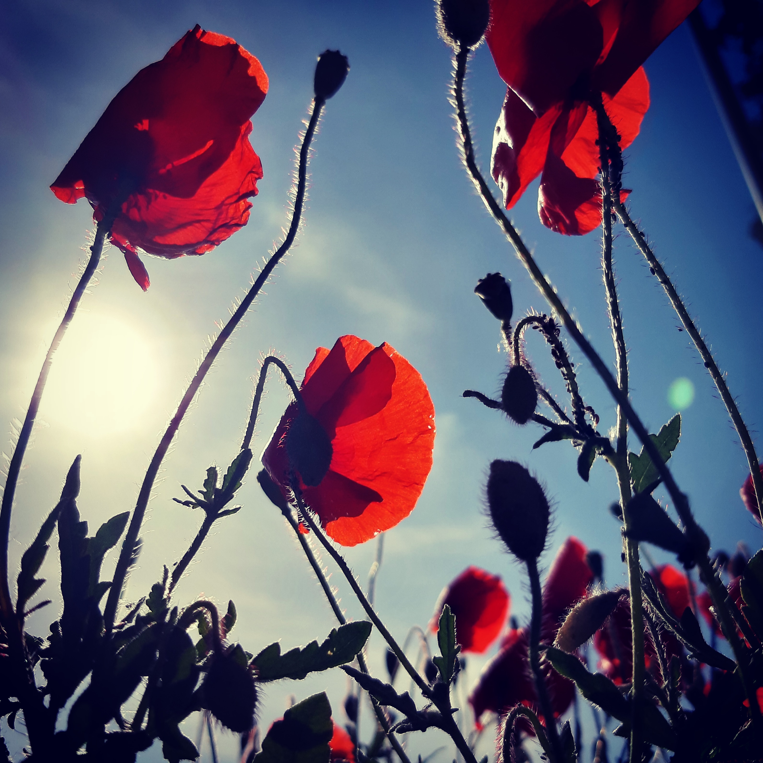 Photo et mots&nbsp;soleil