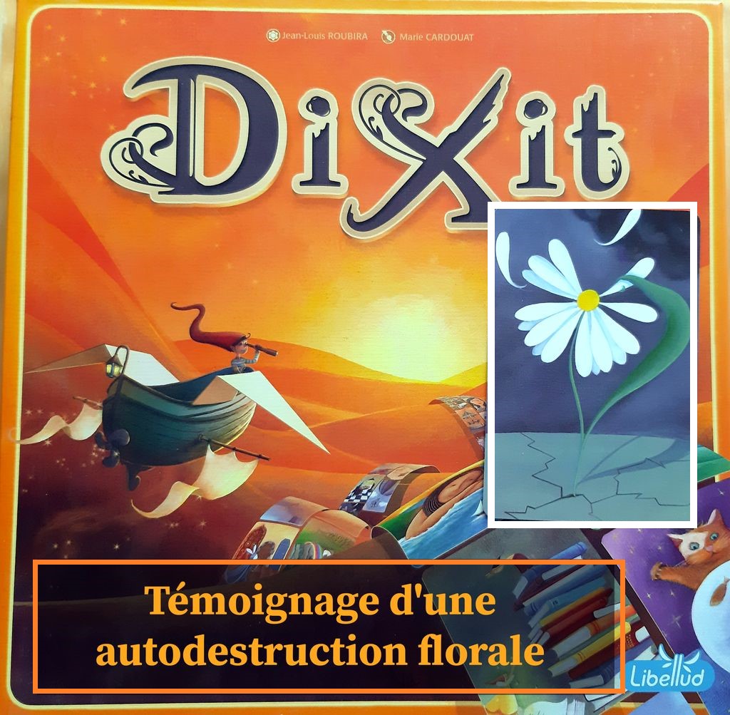 Nano 2020 : Témoignage d&rsquo;une autodesctruction florale