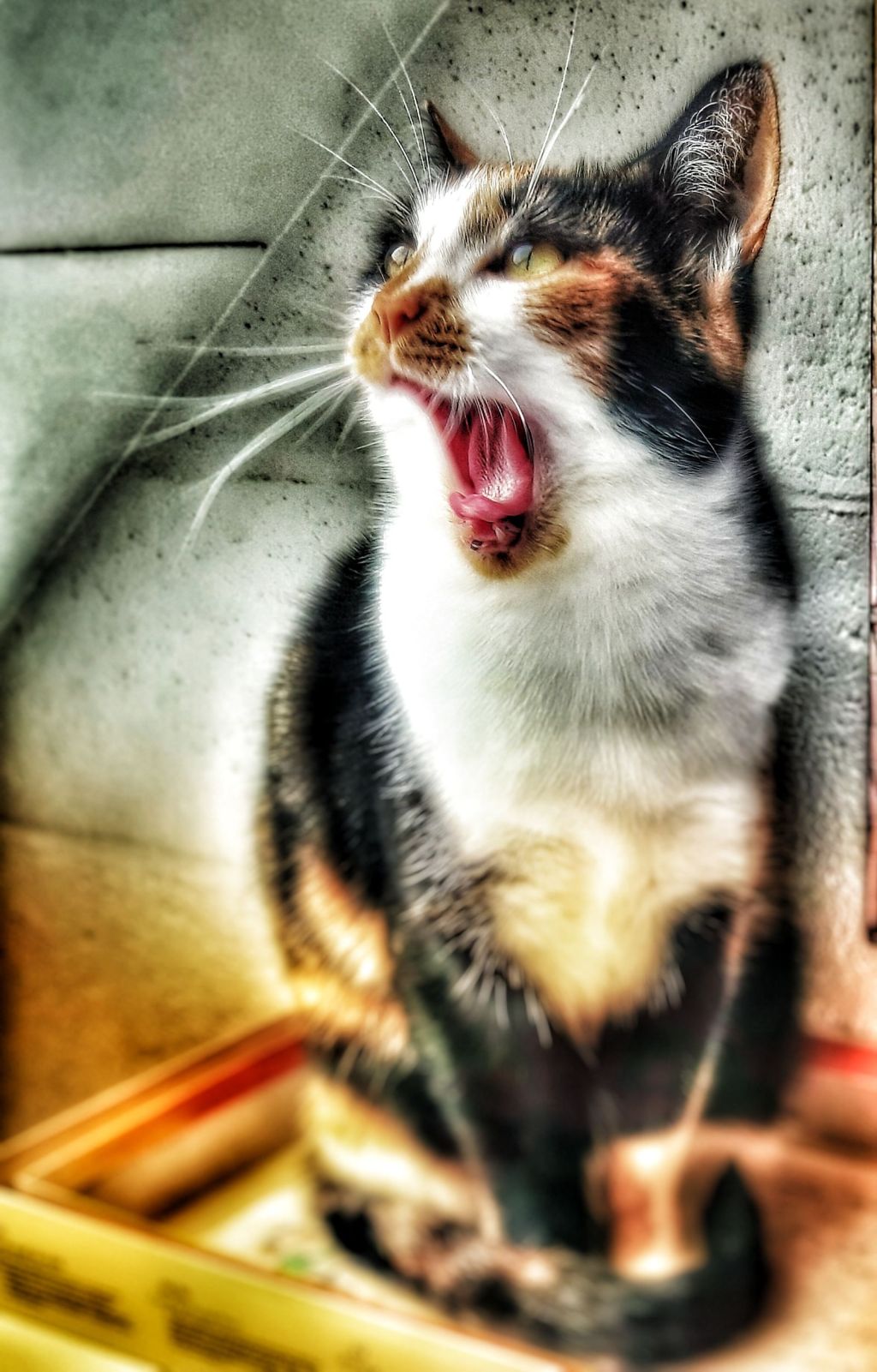 La puissance des photos…