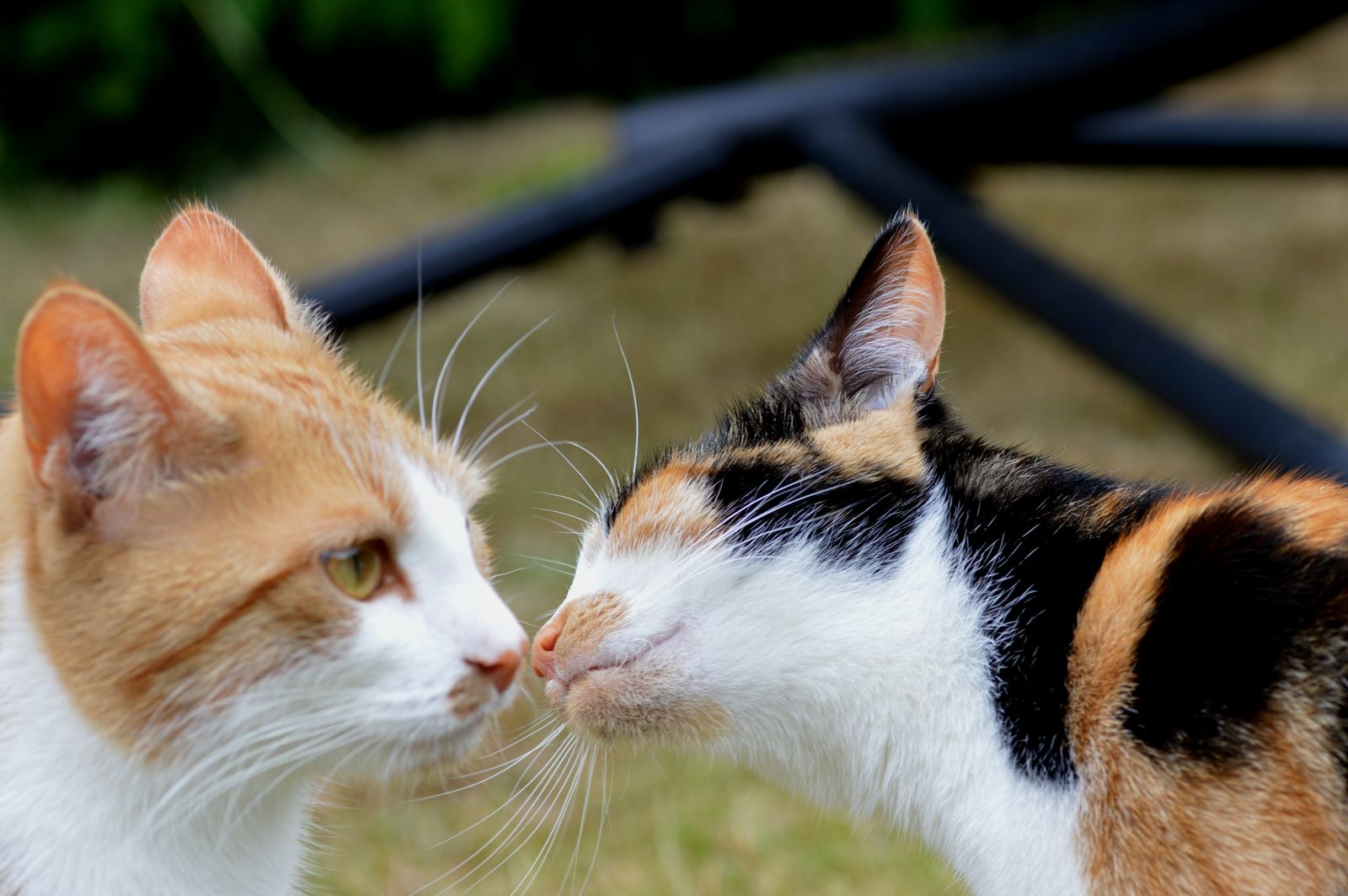 Les 1001 astuces créatives pour remplacer votre (horrible)&nbsp;réveil