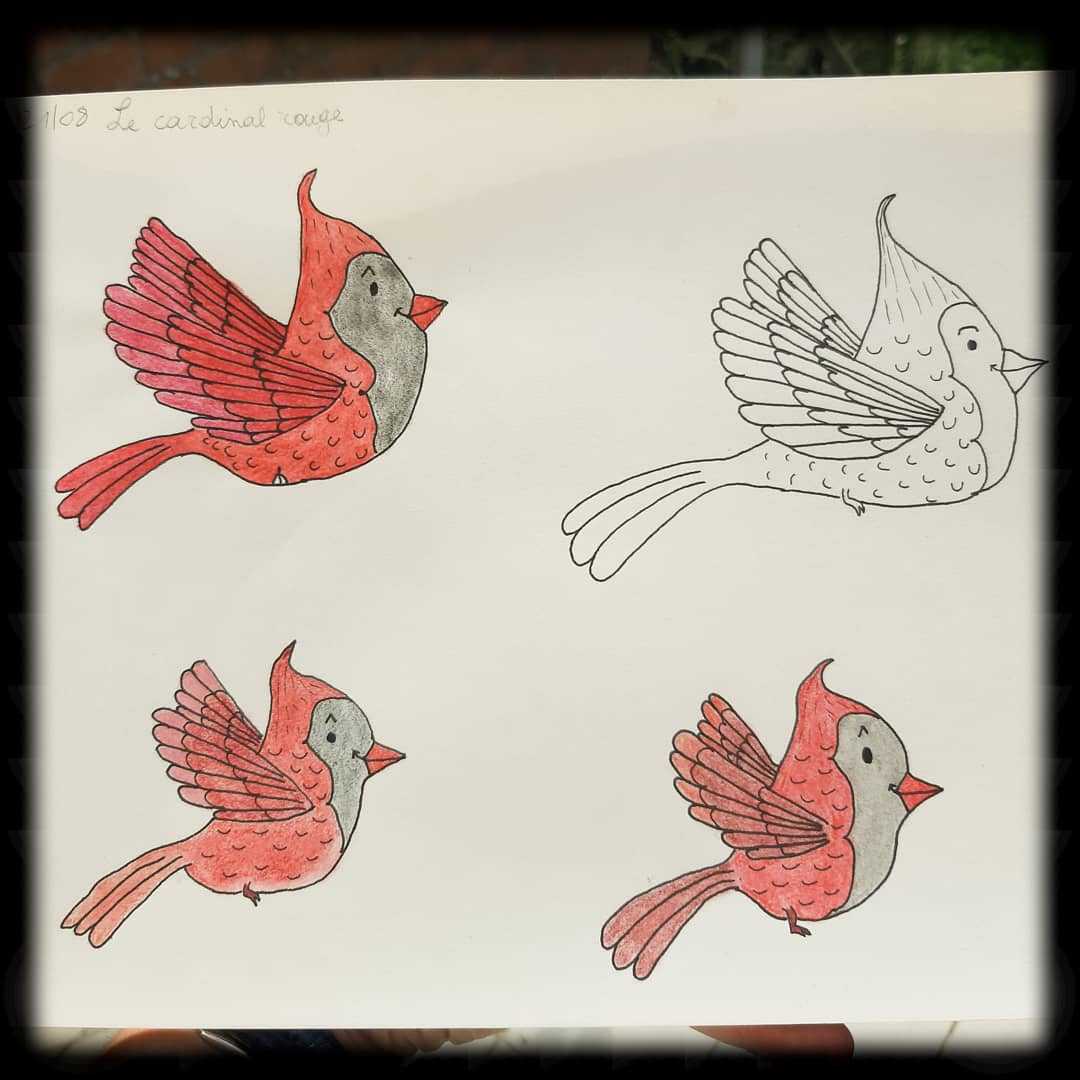 Des contes, des rires, des partages et des pleurs… des mots pour des&nbsp;maux.