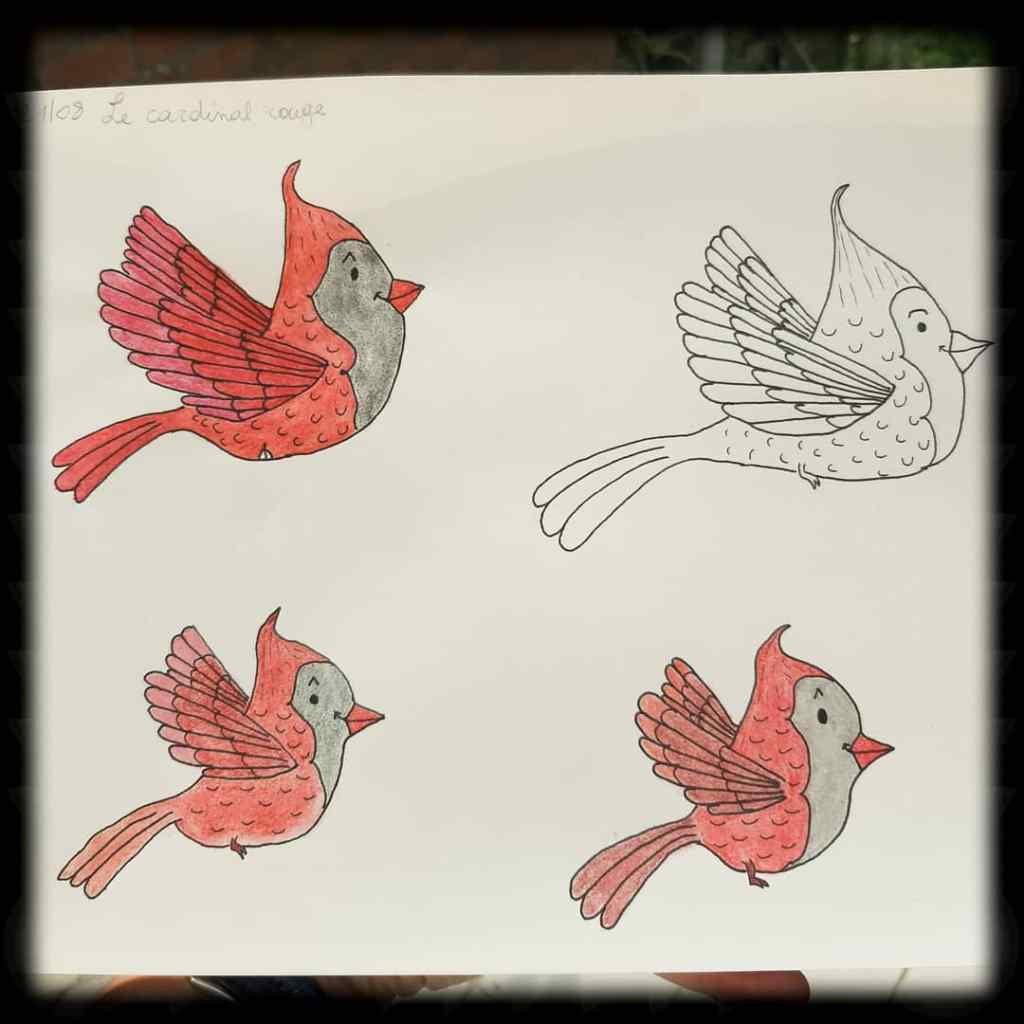 Des contes, des rires, des partages et des pleurs… des mots pour des&nbsp;maux.