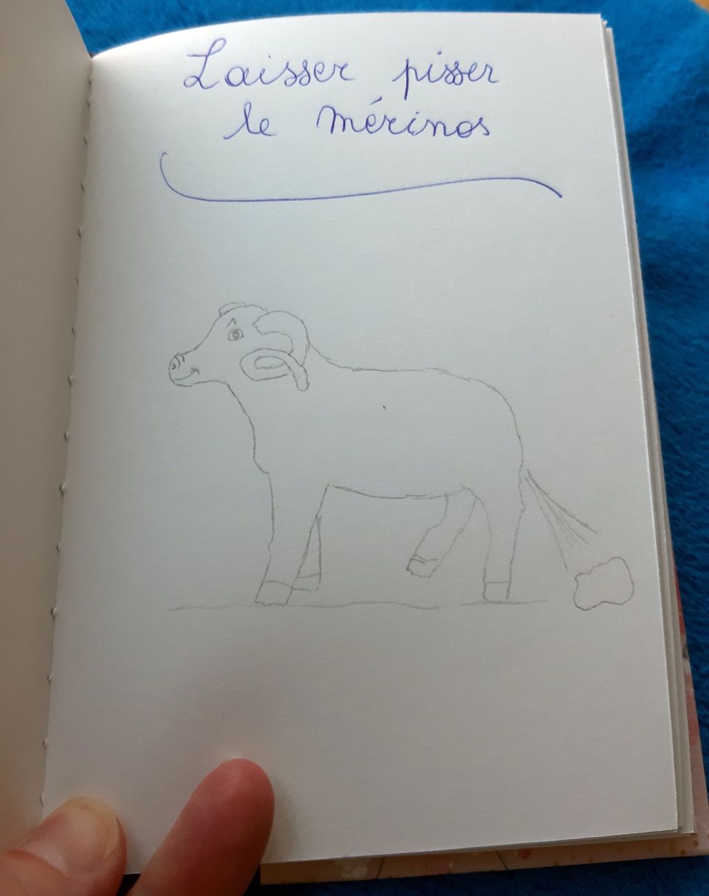 Laisser pisser le mérinos :&nbsp;expression