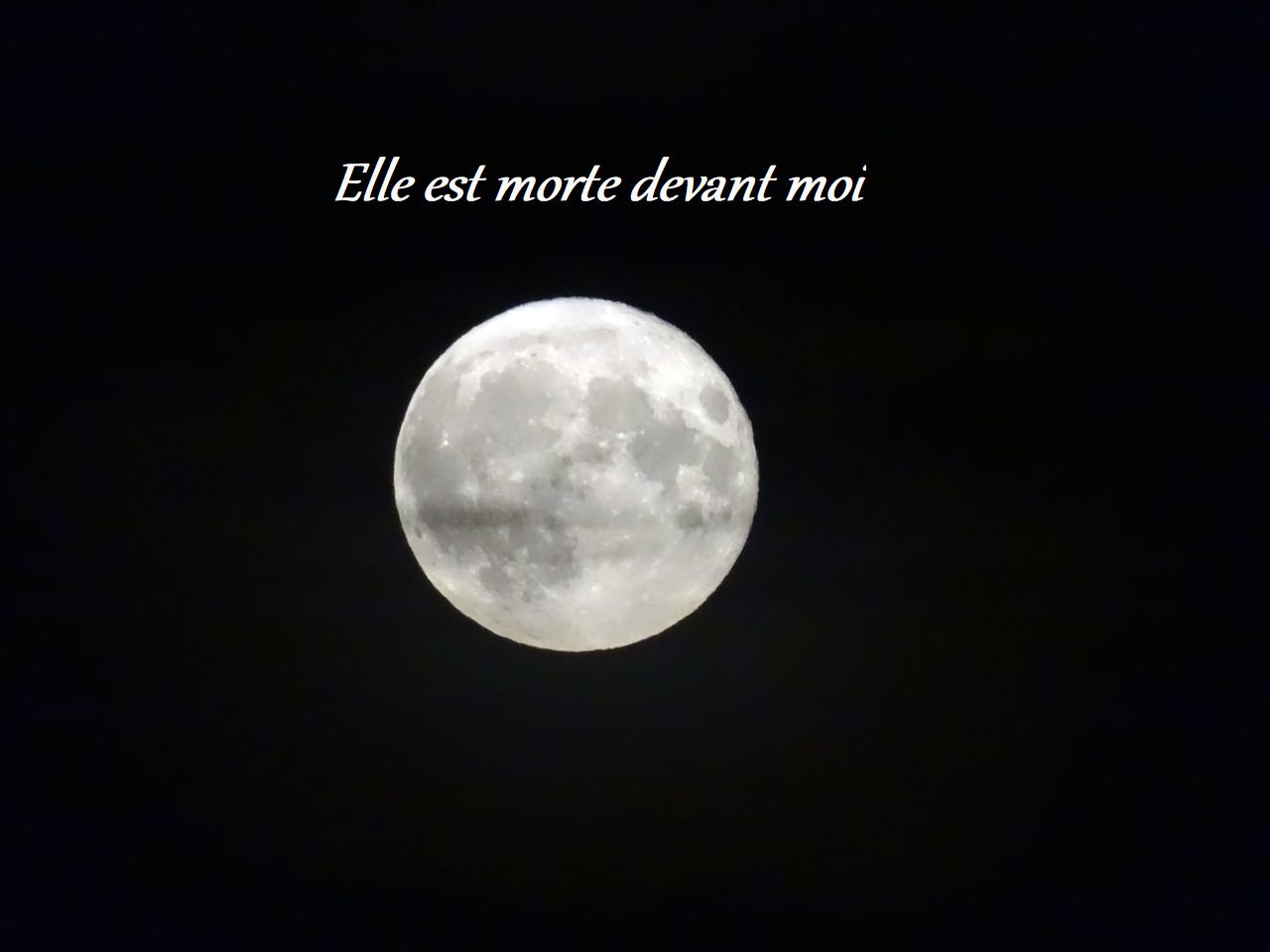 Elle est morte devant&nbsp;moi