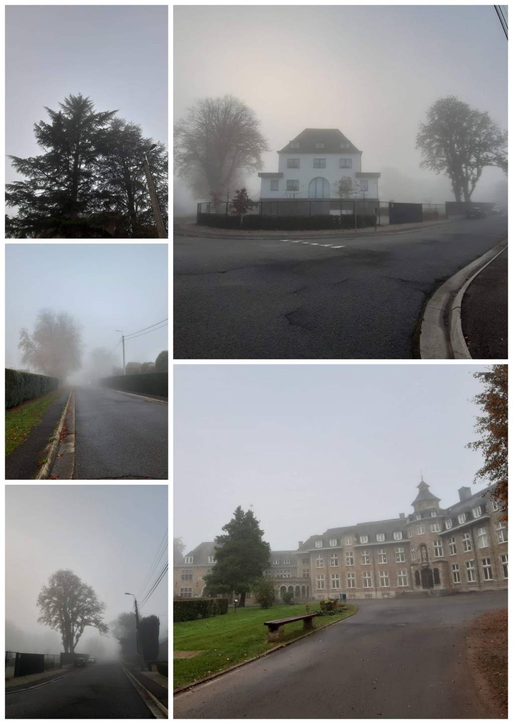 Photos et haïkus dans le&nbsp;brouillard