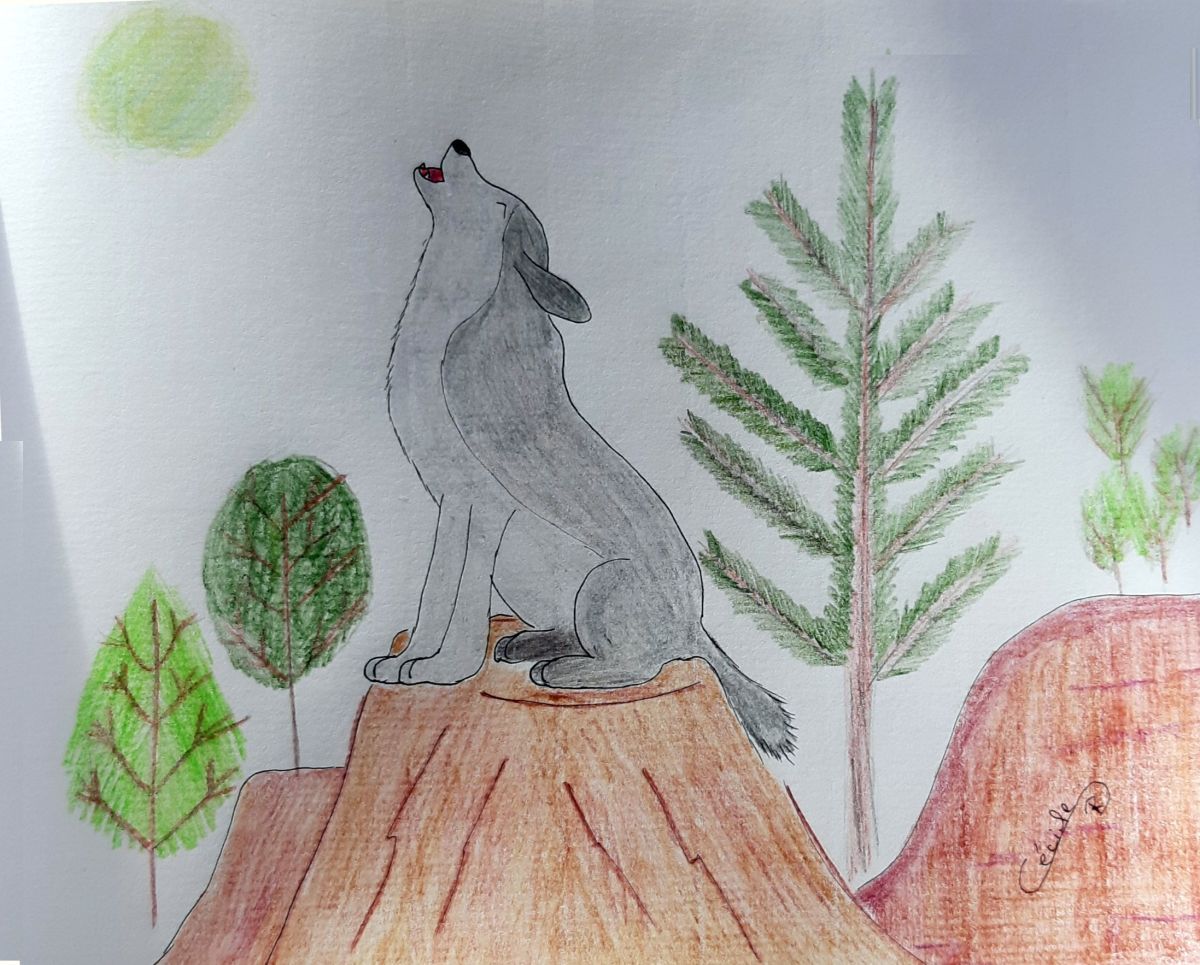 Le Renard et le&nbsp;Loup