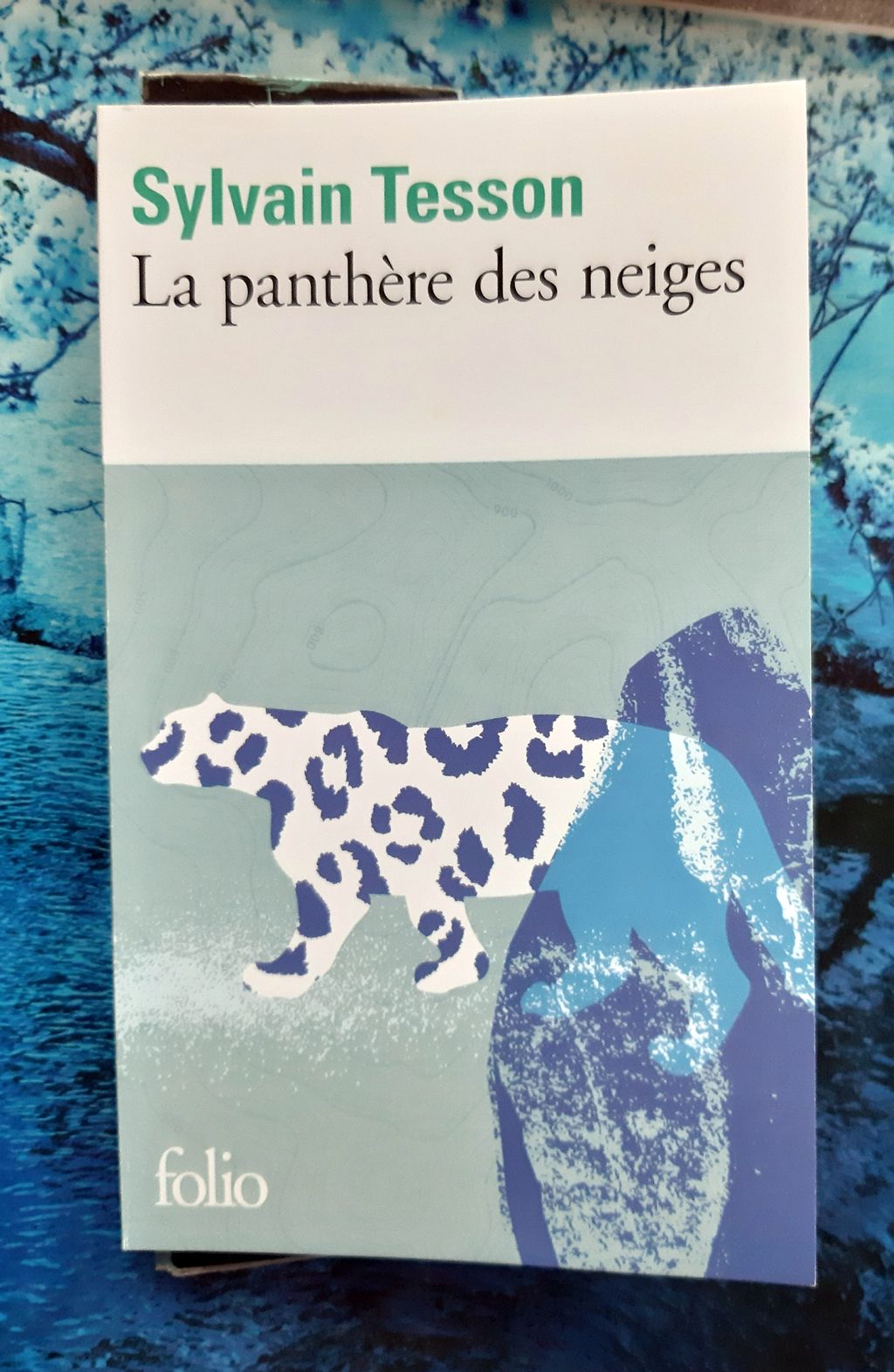 Écrire et dessiner d&rsquo;après un extrait de&nbsp;livre