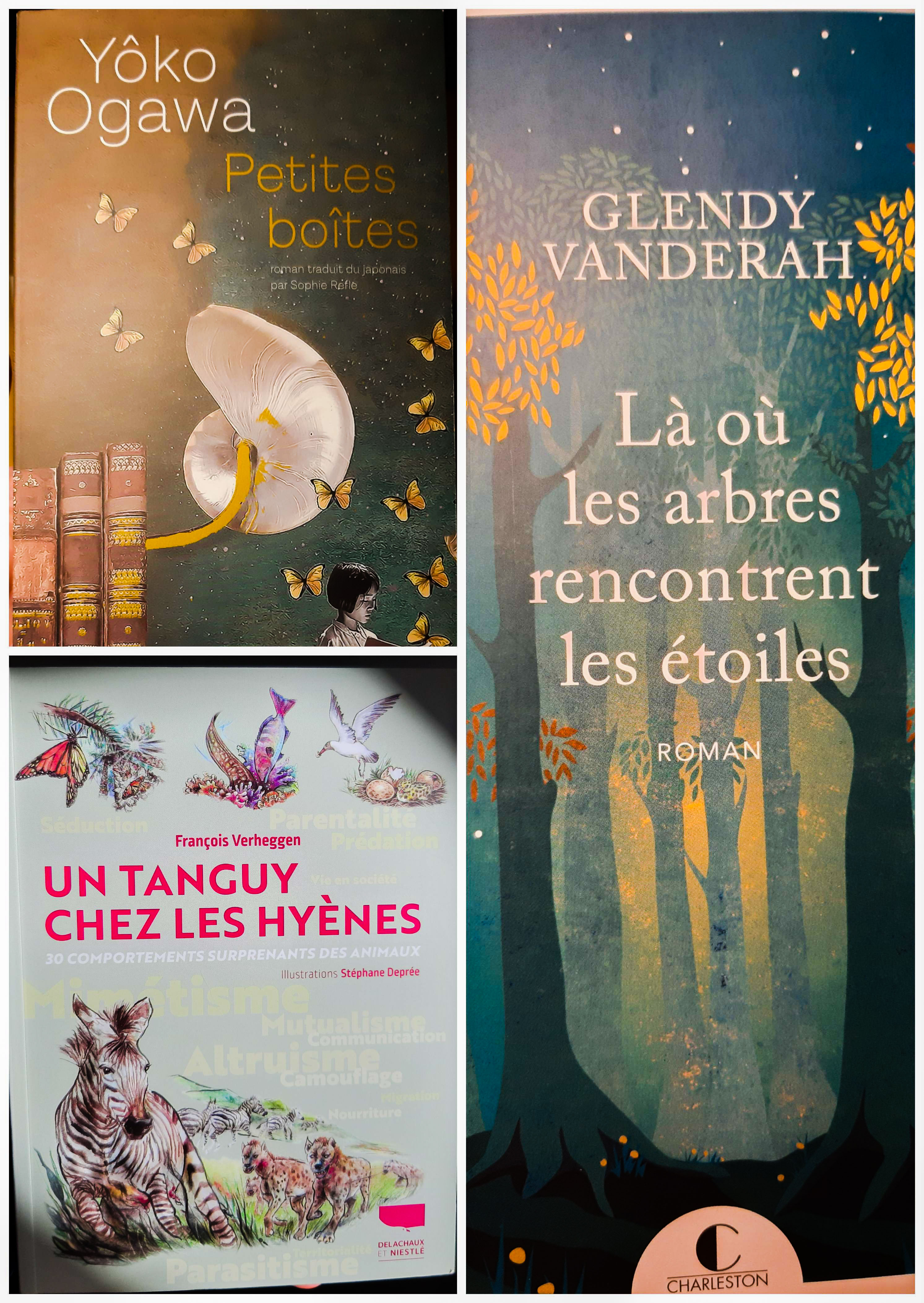 Je suis ivre de&nbsp;livres