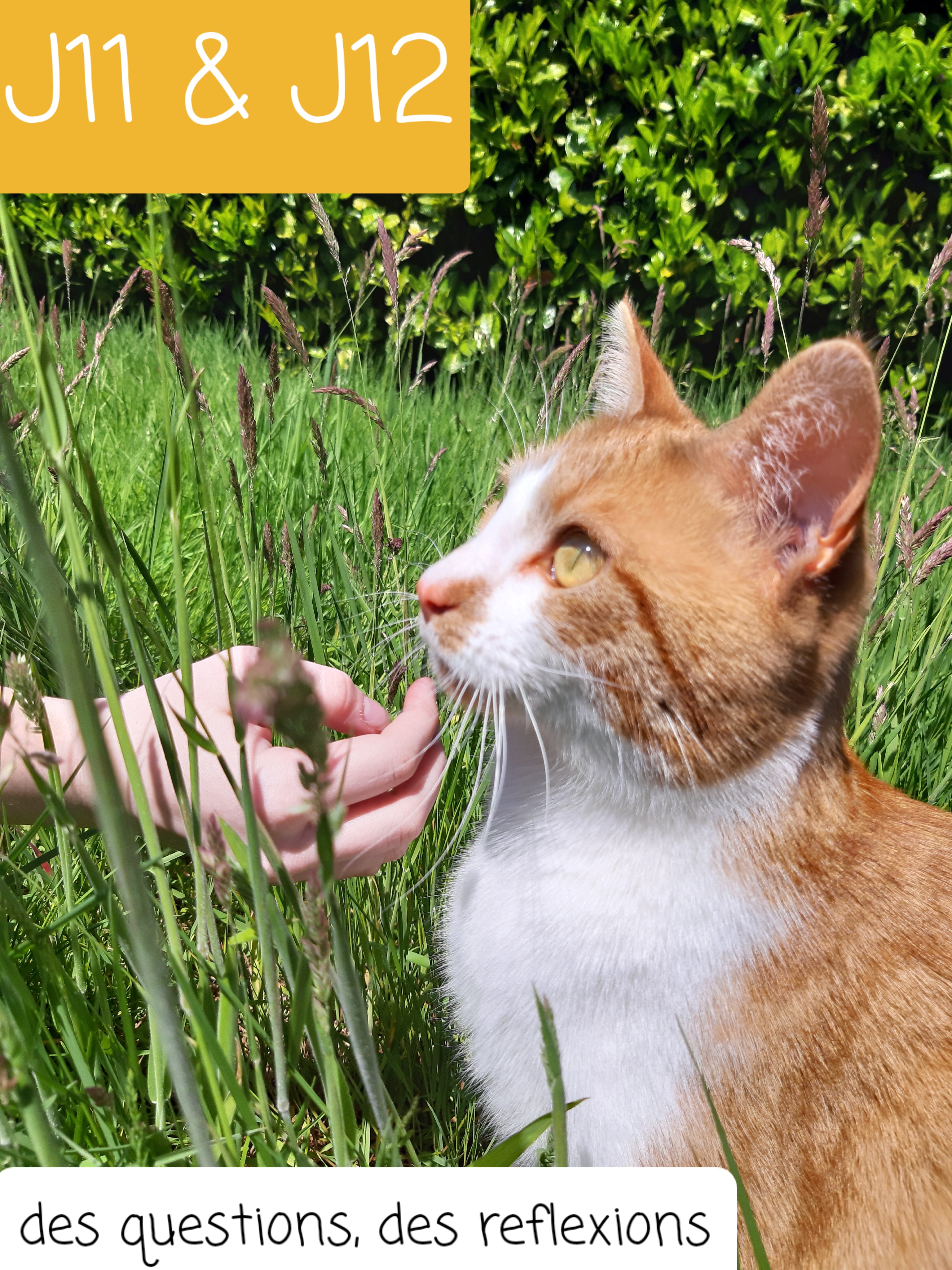 Écrire ou ne pas&nbsp;écrire