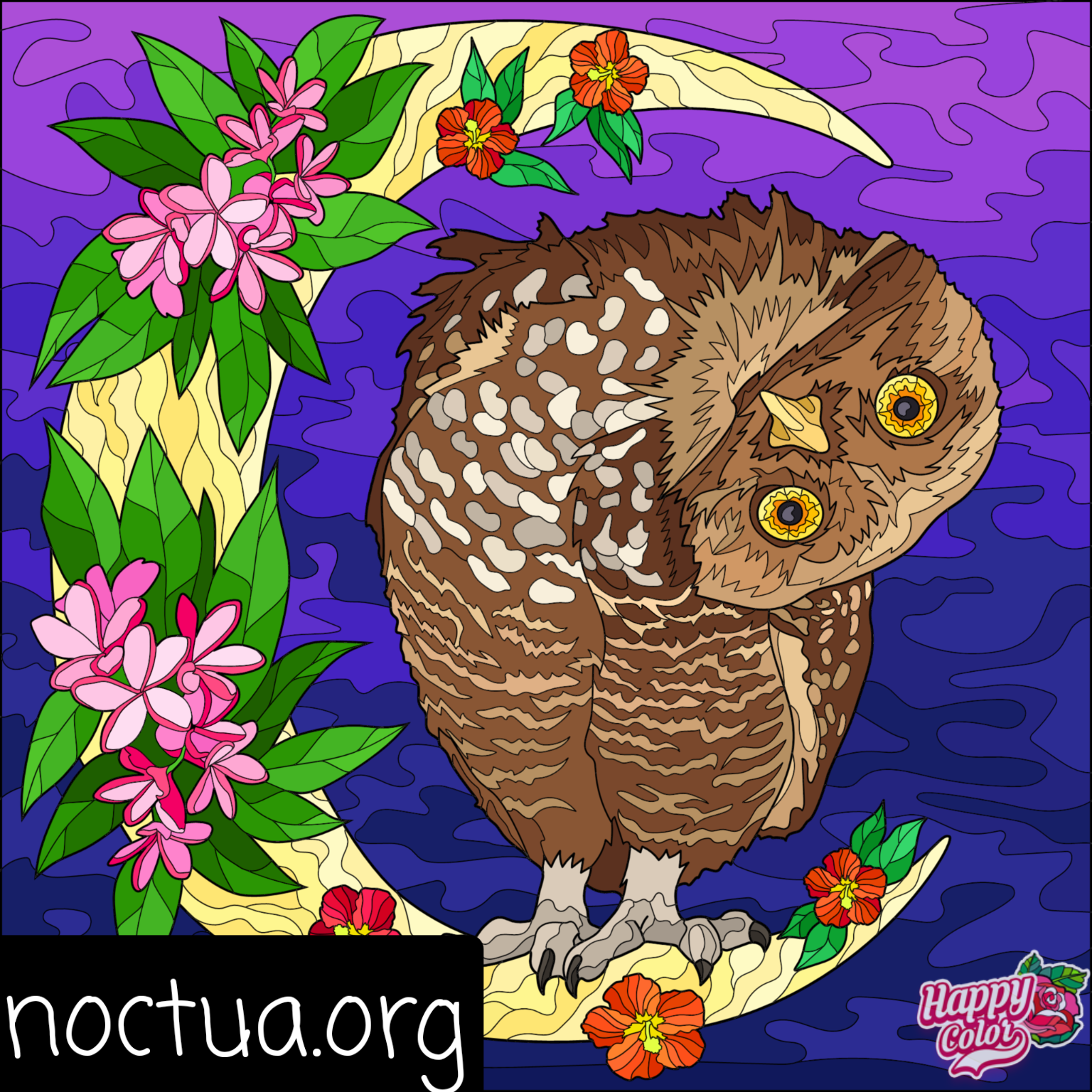 Tranche de vie ornitho au&nbsp;bureau