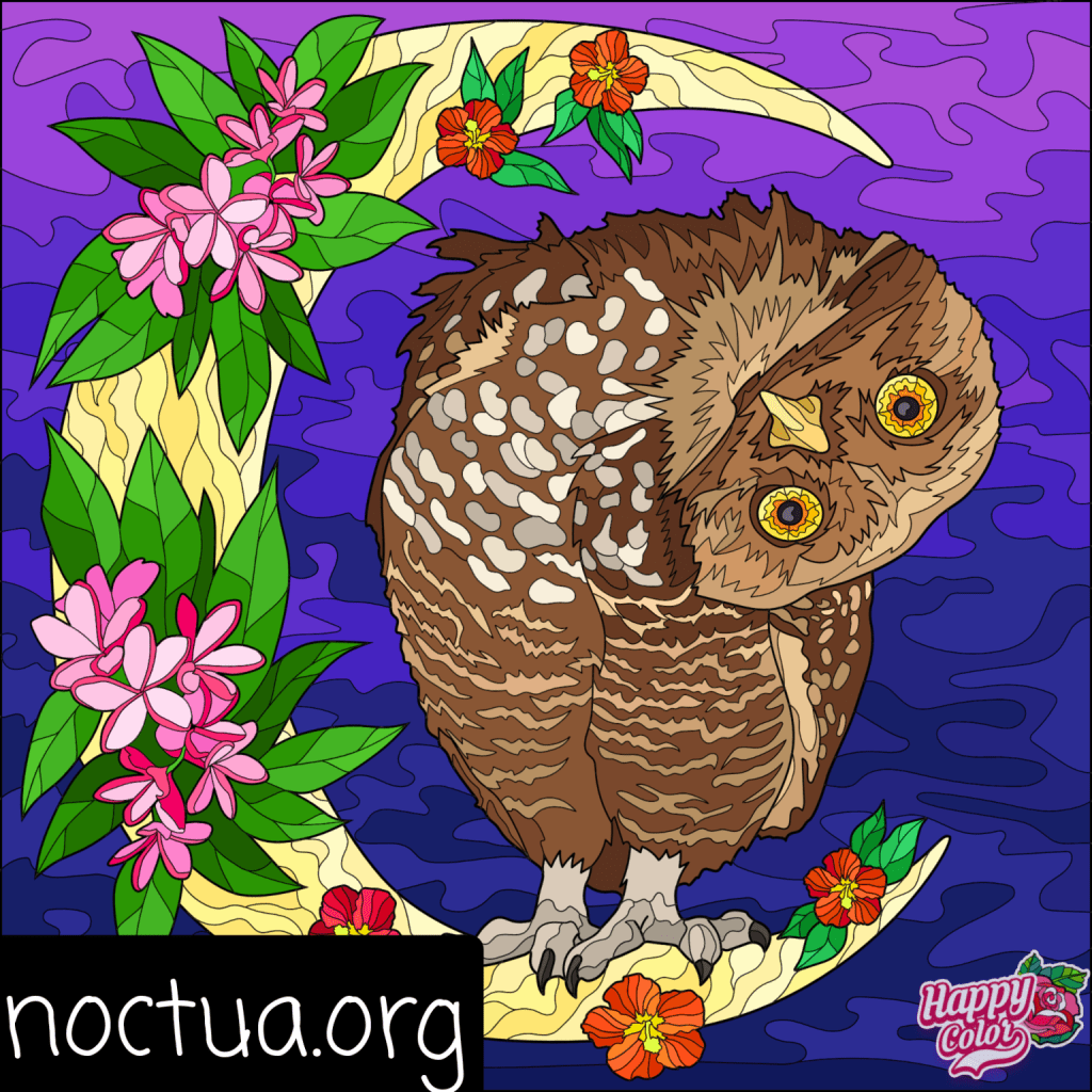 Tranche de vie ornitho au&nbsp;bureau