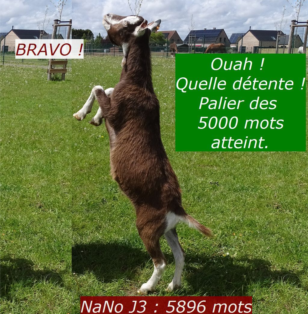 NaNo J3 : suivre un plan ou pas&nbsp;?