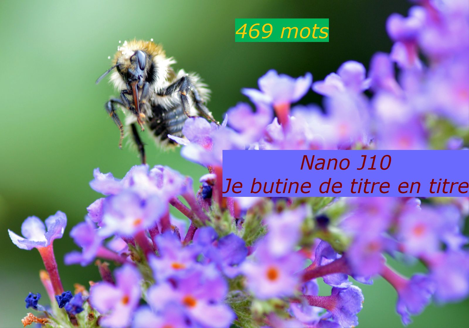 Nanowrimo J10 : on repart à&nbsp;zéro
