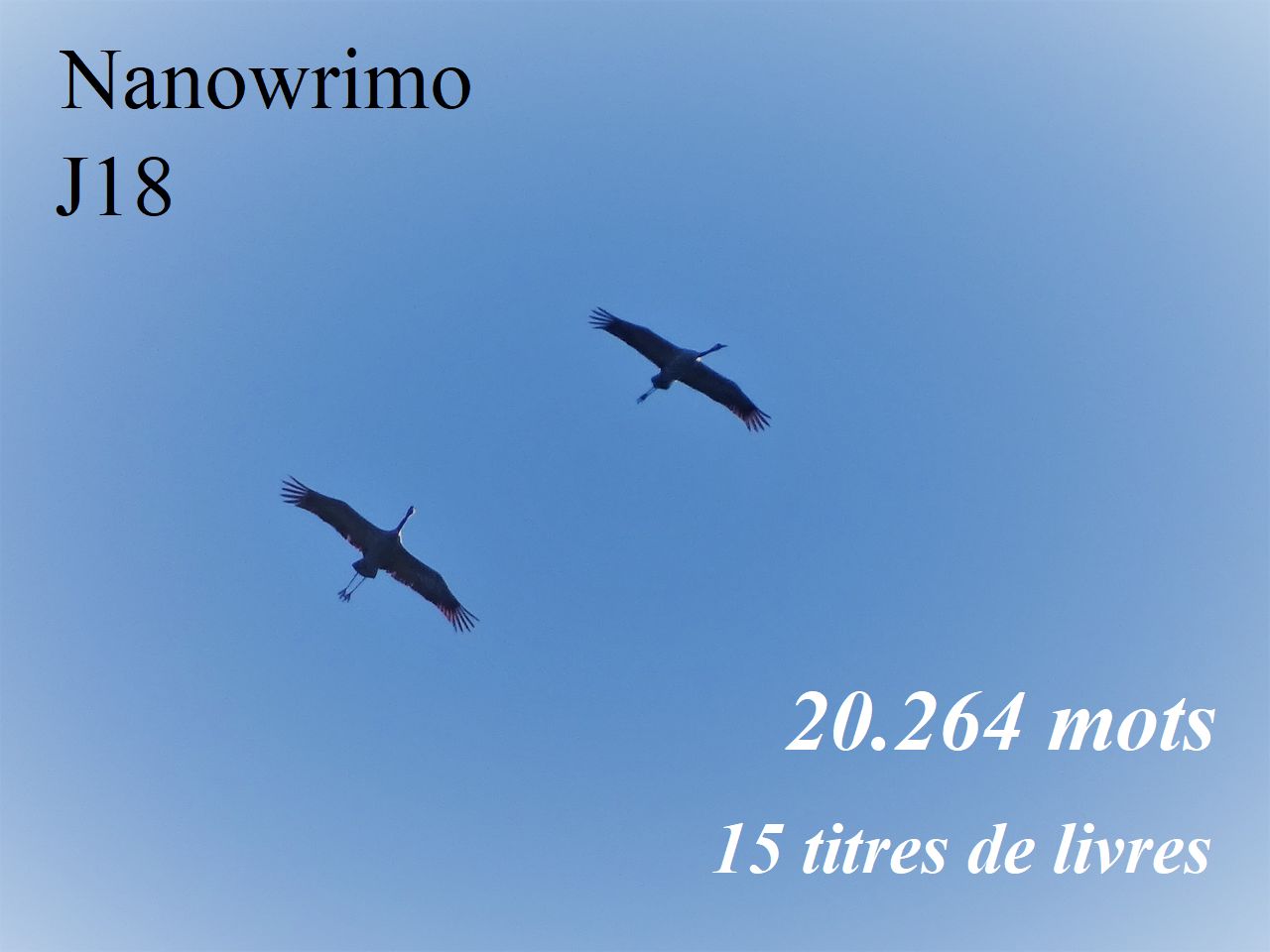 Nanowrimo J18 : c&rsquo;est reparti, on&nbsp;continue