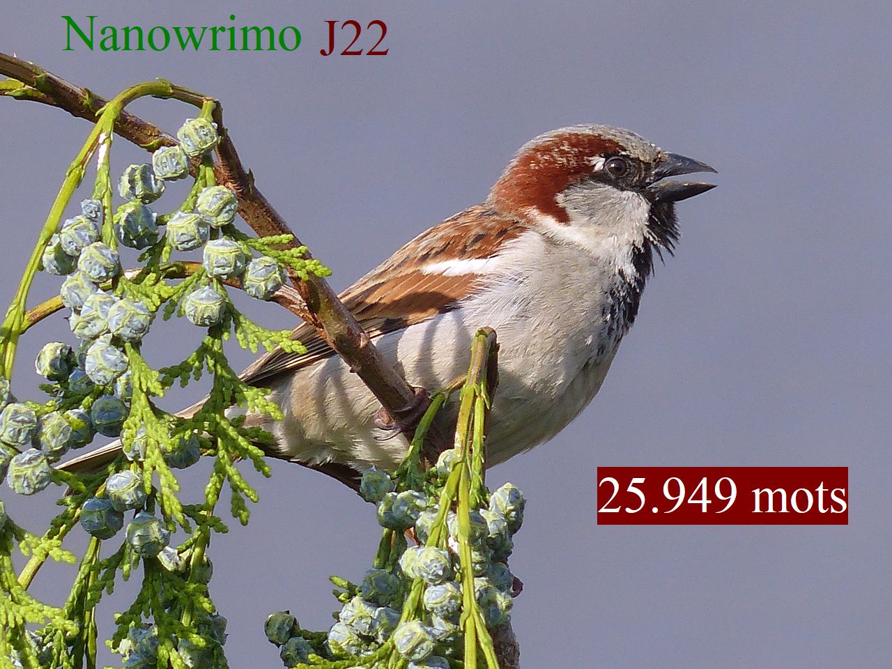 22 jours d&rsquo;écriture ou&nbsp;presque