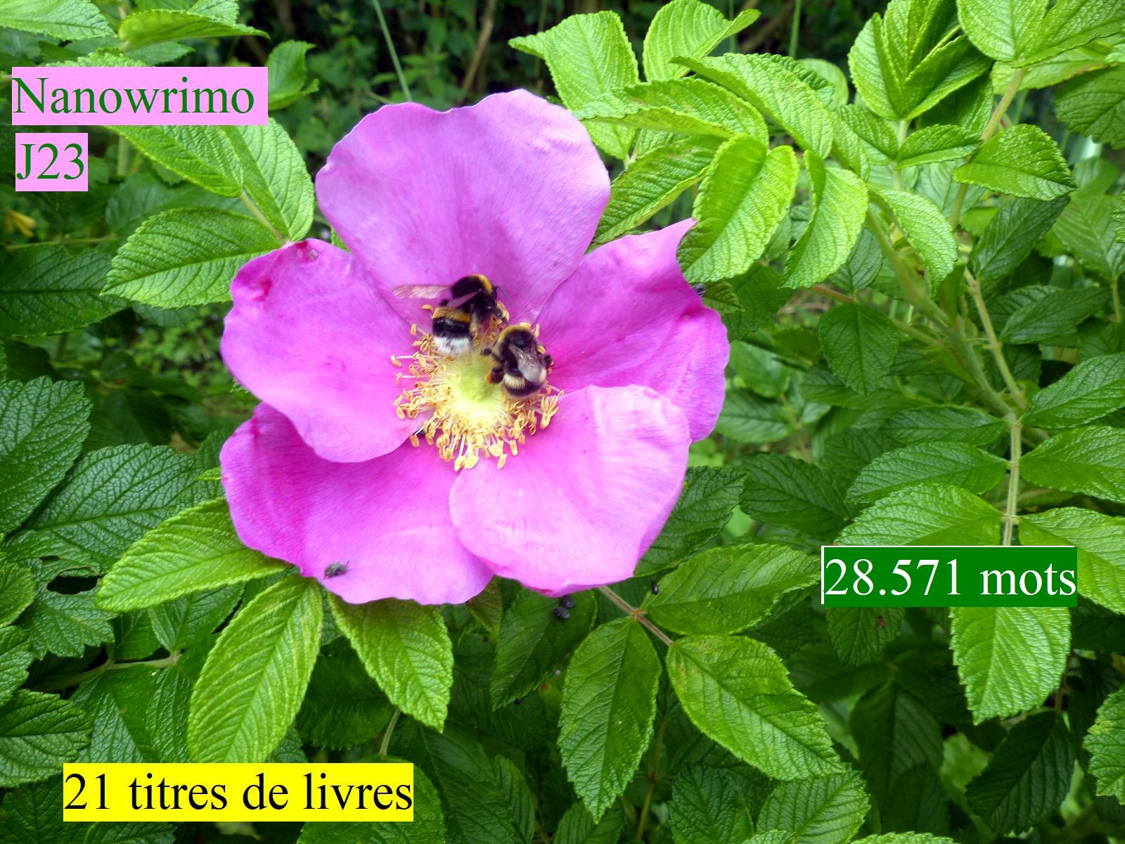 J23, on y croit&nbsp;!