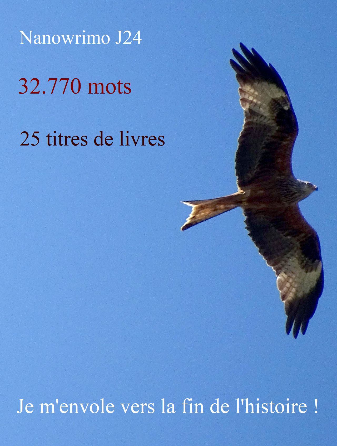 Défi d&rsquo;écriture, bientôt la fin&nbsp;?