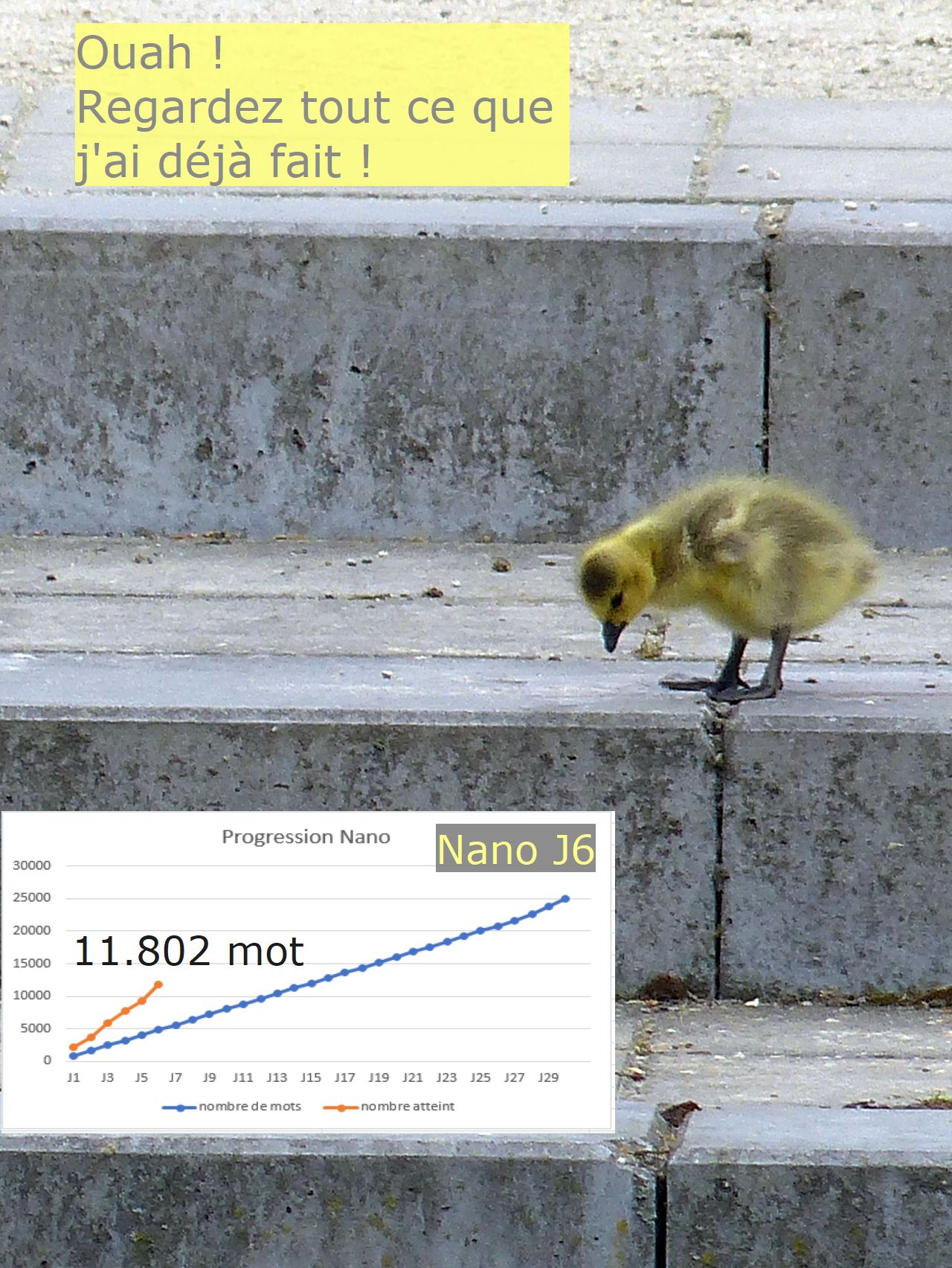 Nanowrimo J6 : faut-il vraiment s&rsquo;arrêter&nbsp;?