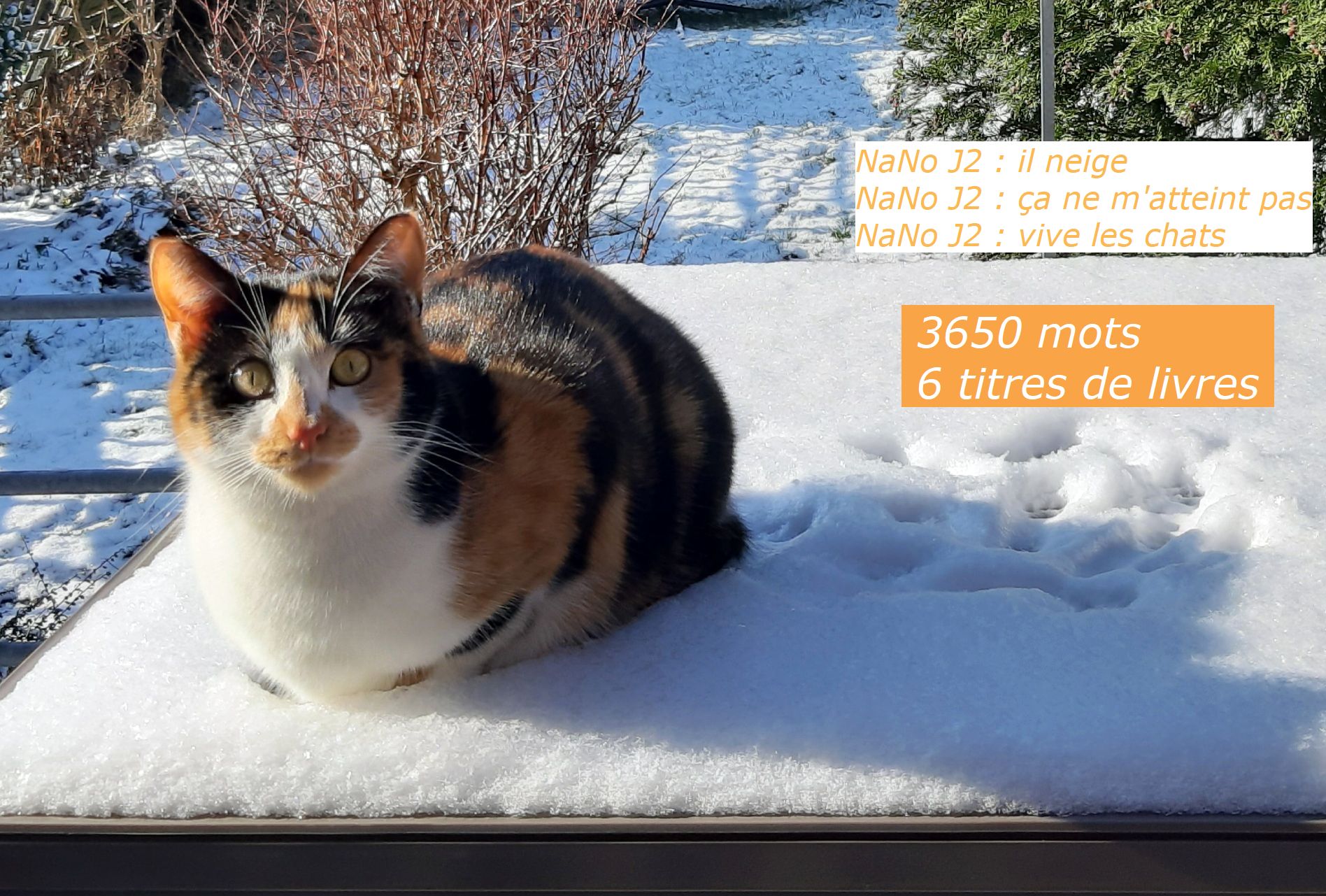 Nanowrimo J2 : il&nbsp;neige