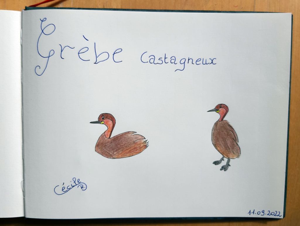 Dessiner, c’est se relaxer