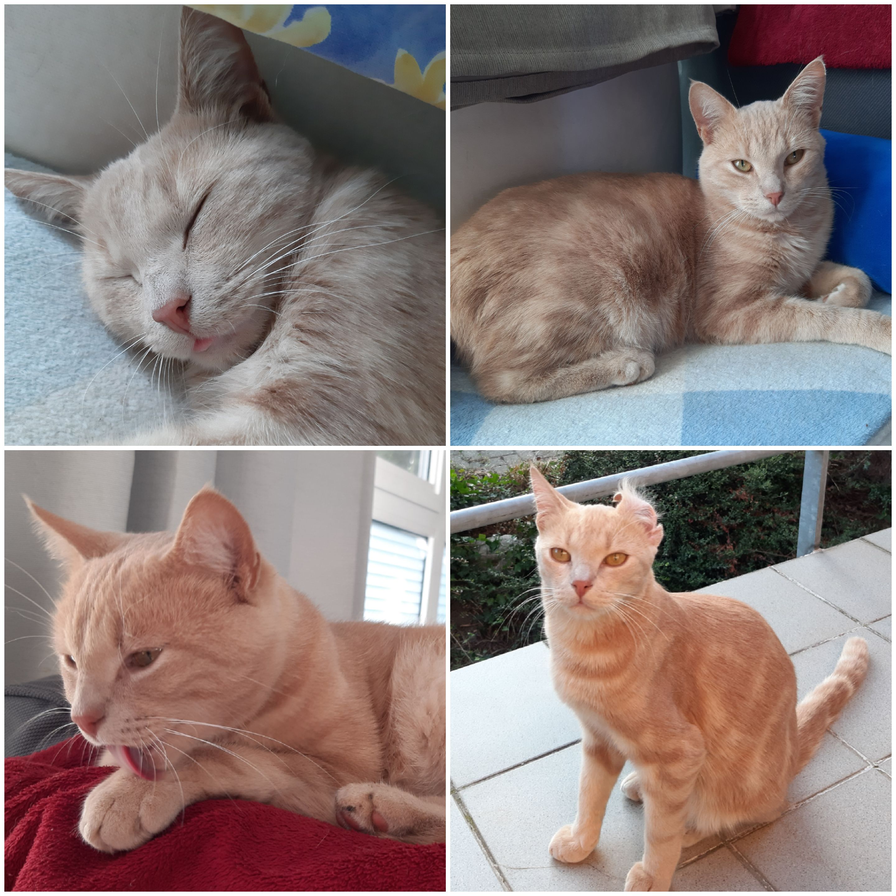 Il a fait sa première nuit&nbsp;!