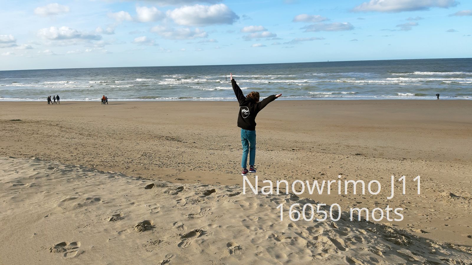 Nanowrimo J11 : c&rsquo;est reparti mon&nbsp;kiki