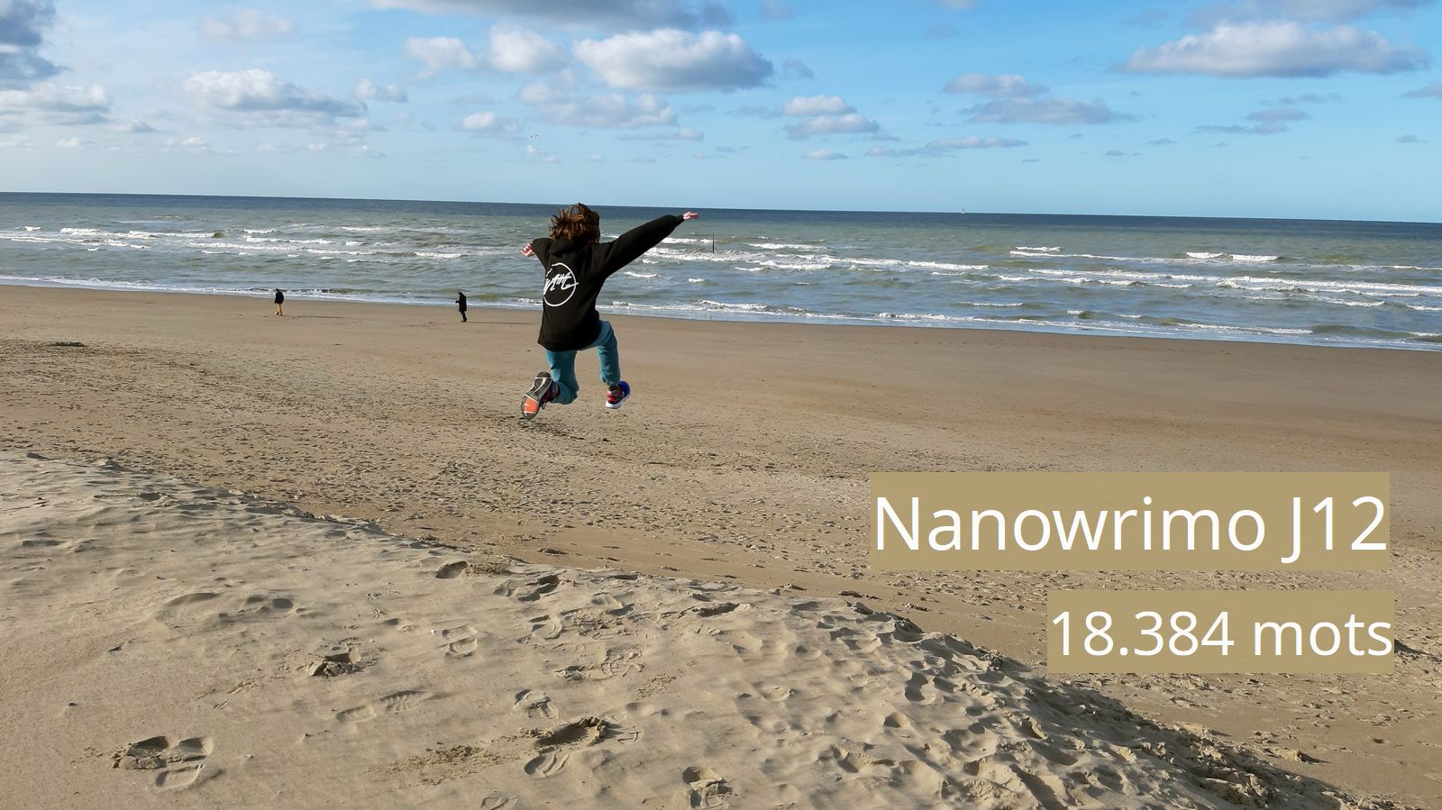 Nanowrimo J12