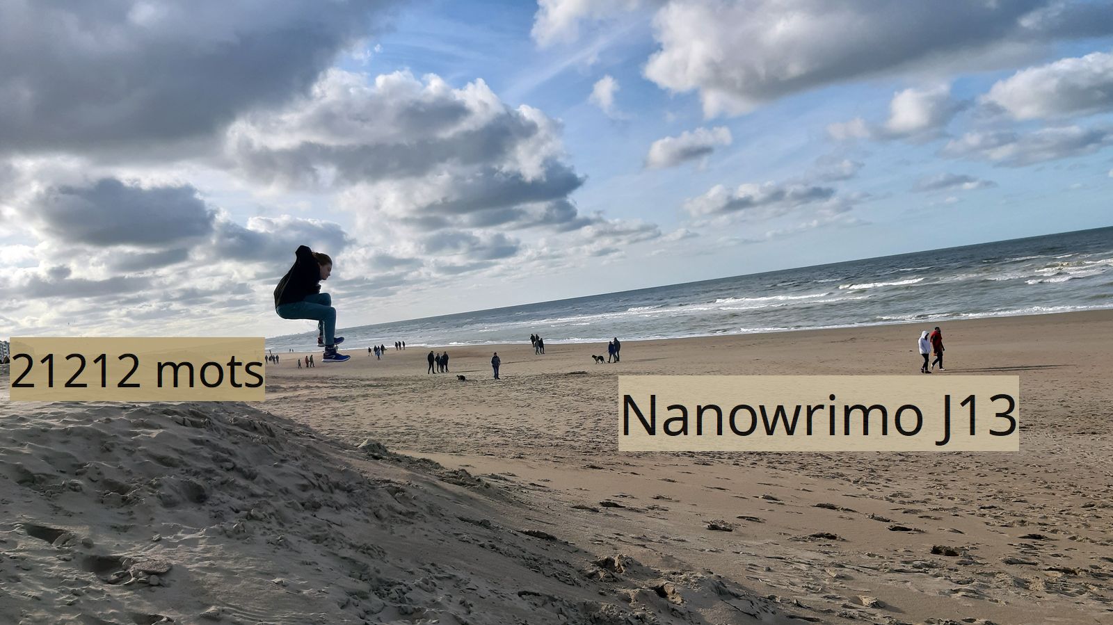 Nanowrimo J13 : bond de&nbsp;cabri