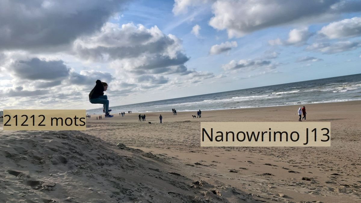 Nanowrimo J13 : bond de&nbsp;cabri