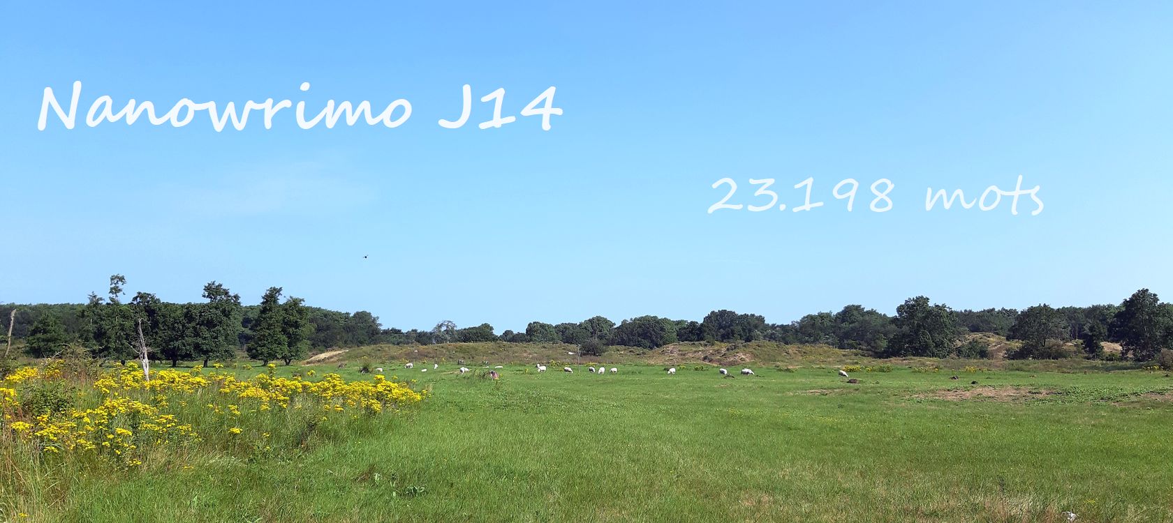 Nanowrimo J14 : j&rsquo;ai faim de&nbsp;mots