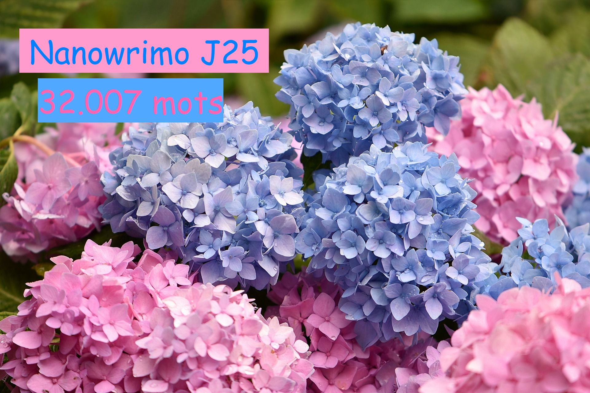 Nanowrimo J25 : l&rsquo;intrigue continue