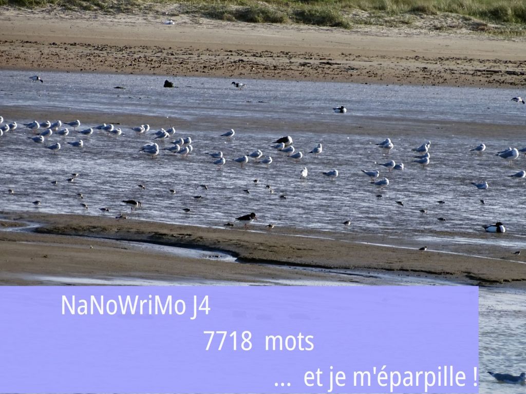 Nanowrimo J4