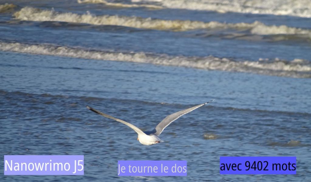 Nanowrimo J5 : je&nbsp;pleure