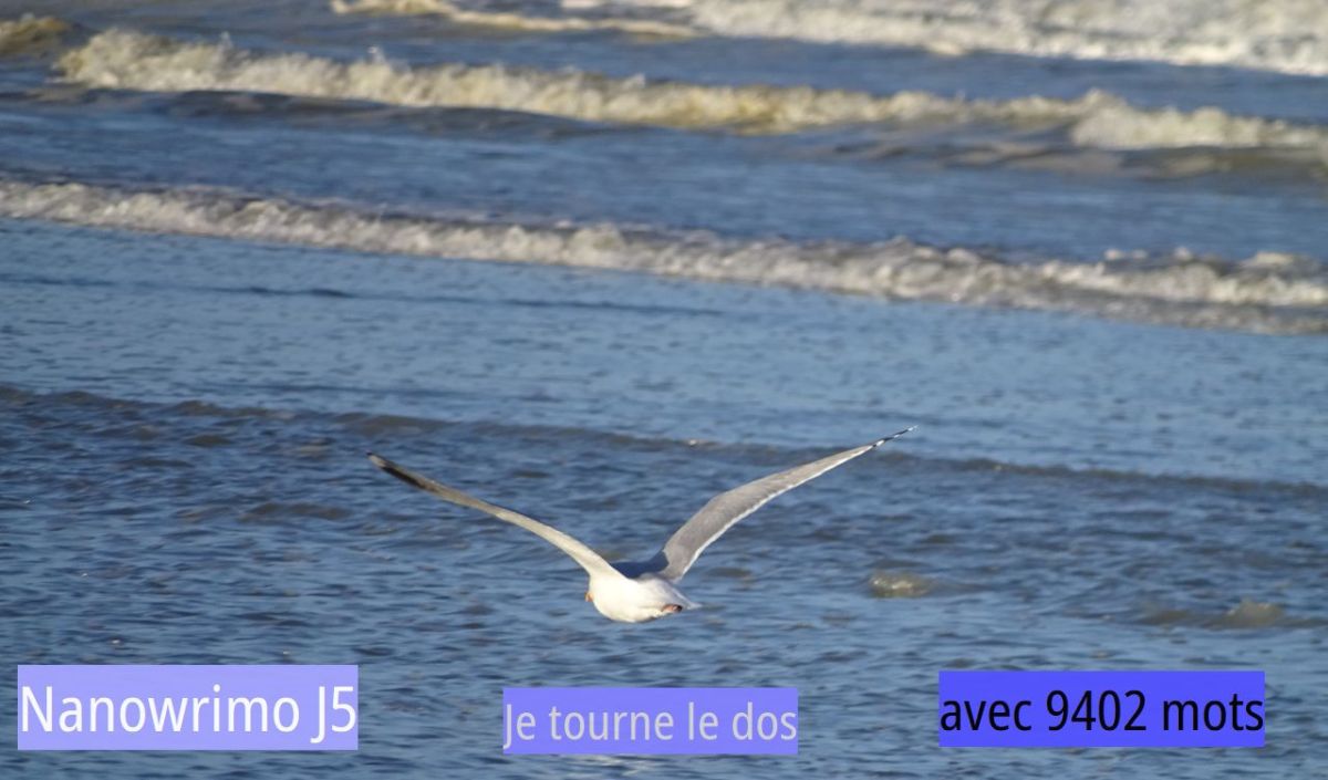 Nanowrimo J5 : je&nbsp;pleure