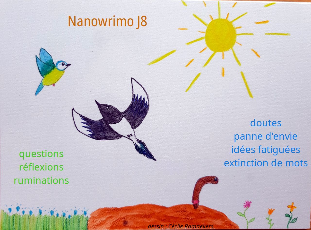 Nanowrimo J8 : passage à&nbsp;vide