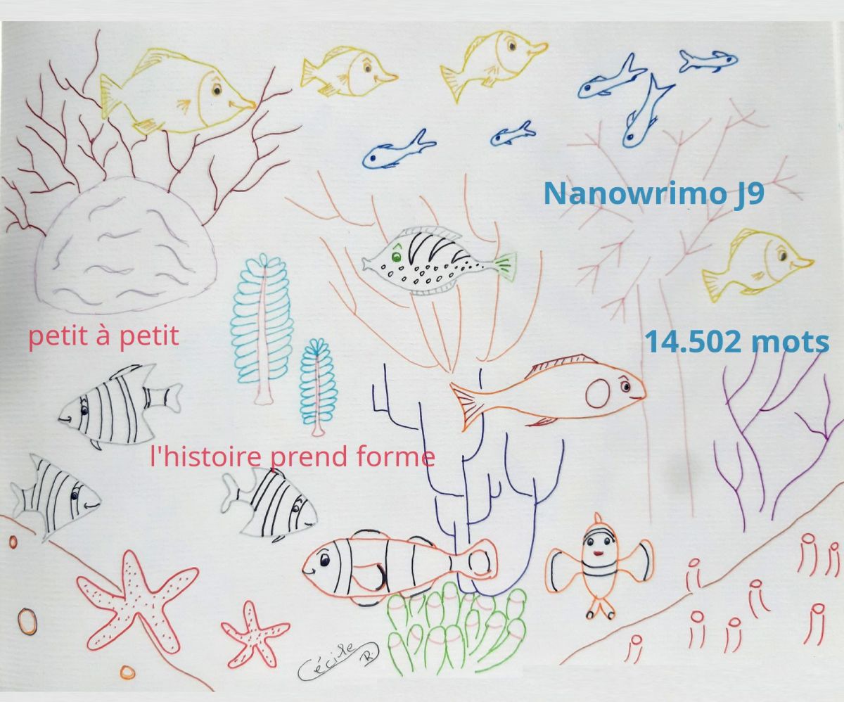 Nanowrimo J9 : petit à&nbsp;petit…