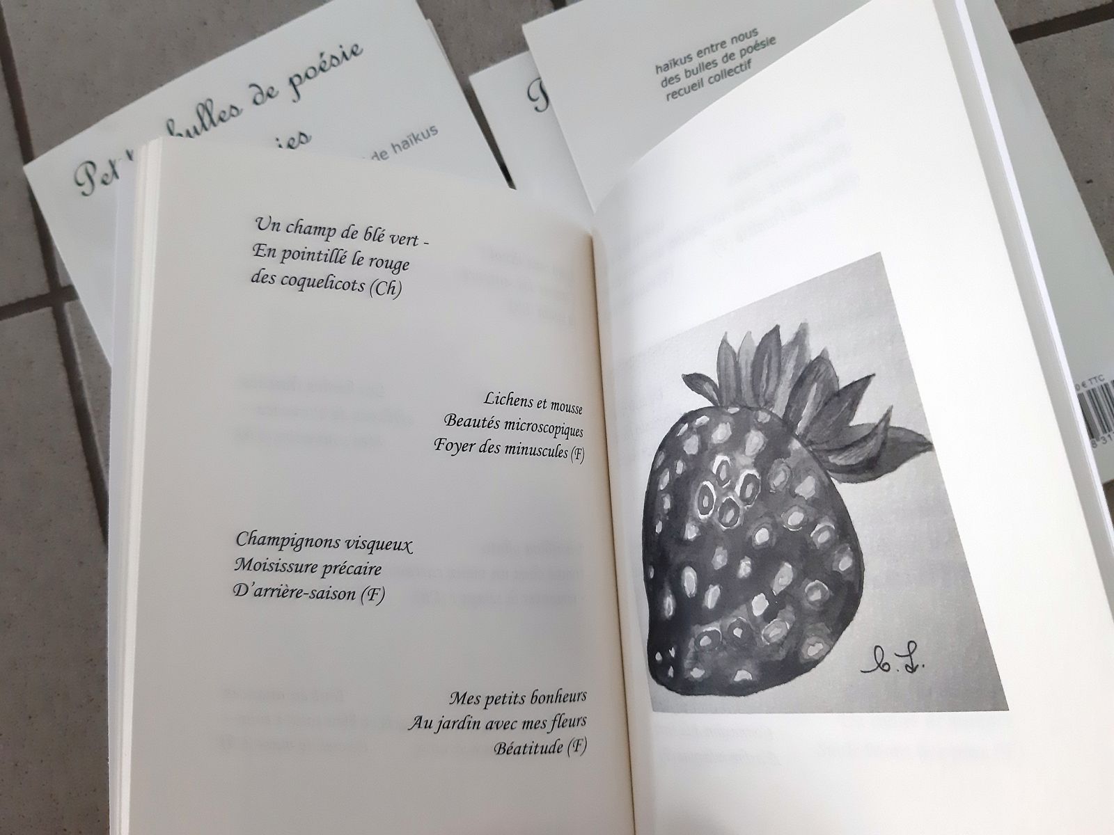 Petites bulles de poésie entre amies, recueil de&nbsp;haïkus