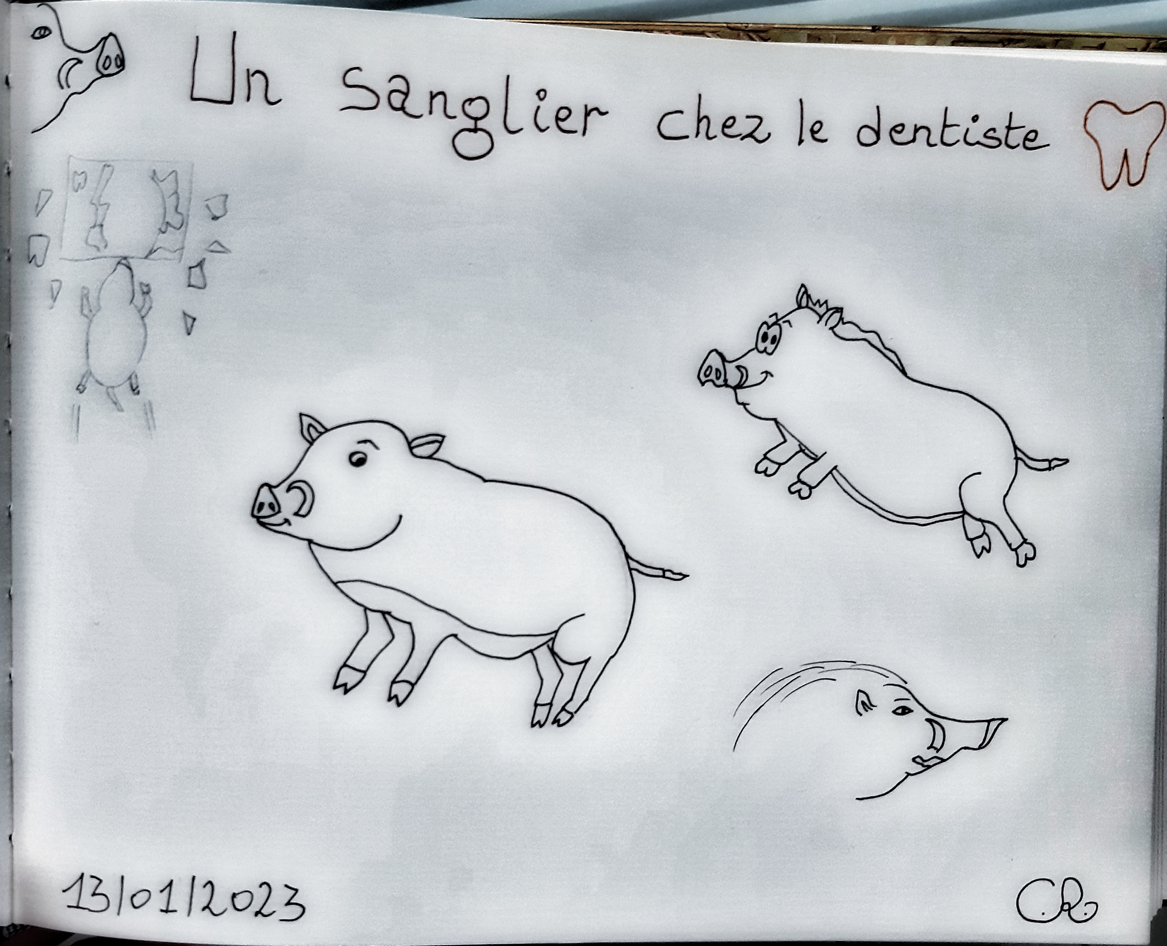 Un sanglier chez le&nbsp;dentiste